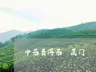 中茶普洱茶 厦门/2023041241494